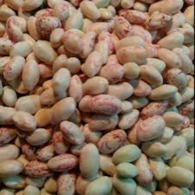 

Kacang endul