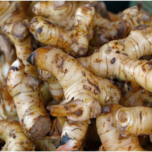 

Lengkuas/Laos (Galangal) 250 gram - sayur curah