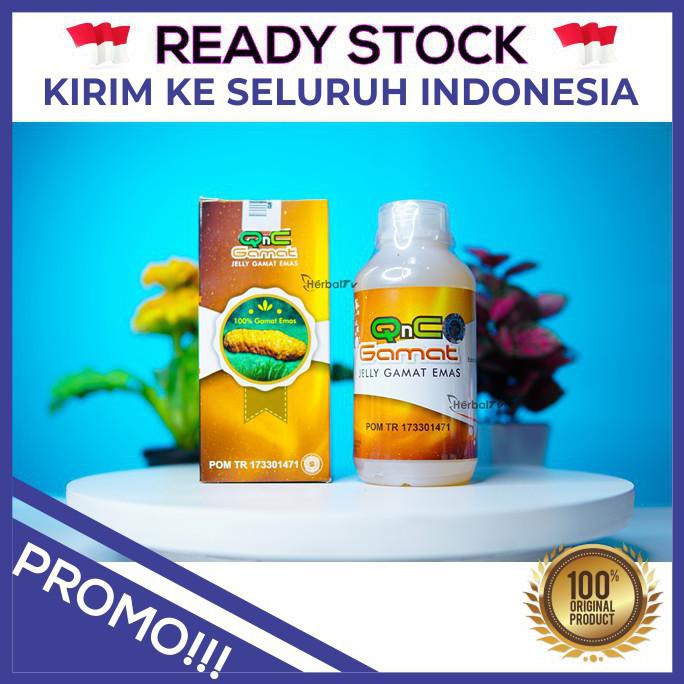 Obat Bab Berdarah Qnc Jelly Gamat - Original 100% Terlaris