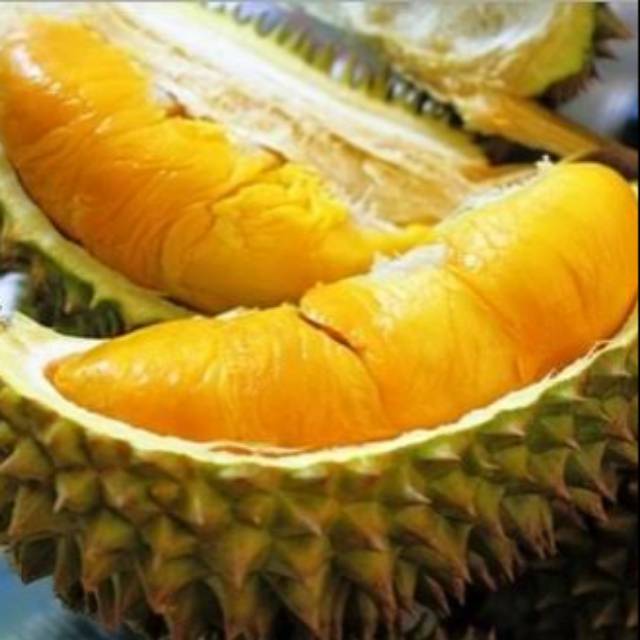 durian duri hitam vs musang king