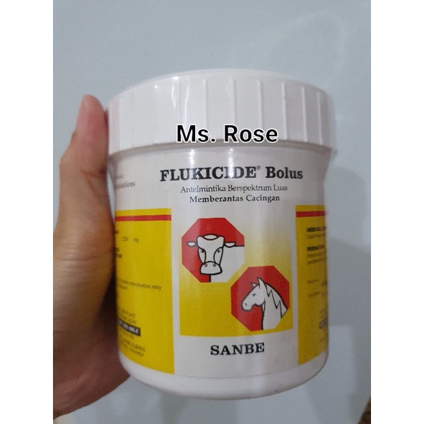 OBAT CACING FLUKICIDE BOLUS SANBE | OBAT CACING PITA HEWAN | FLUKICID BOLUS
