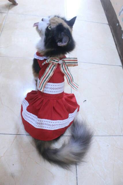 Dress kucing dan anjing edisi natal 2019 lucu murah meriah motif merah putih / baju kucing size S-XL