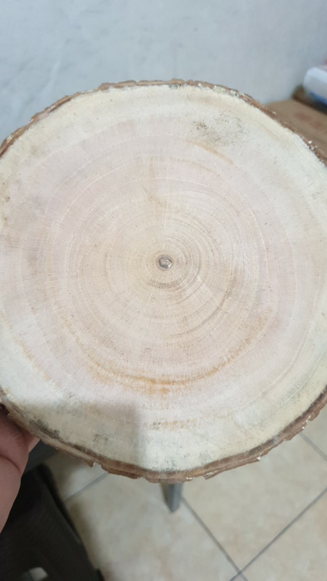 Wood Slice Tree Slice 19-20 Cm Dekorasi Pernikahan Rustic Talenan Tray