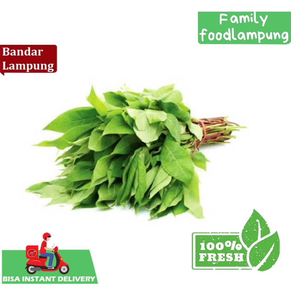 

Family Food Lampung Daun Singkong 250 gram