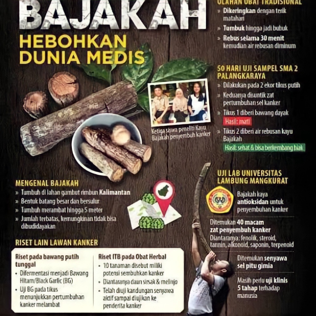 Teh bajakah  teh bajakah asli kalimantan akar bajakah kalimantan herbal