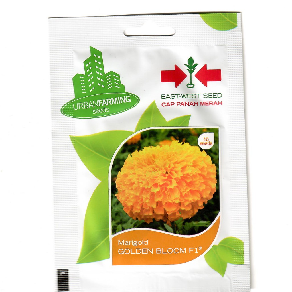 Isi 10 Benih Bunga Marigold Golden Blm Original Pack Panah Merah Shopee Indonesia