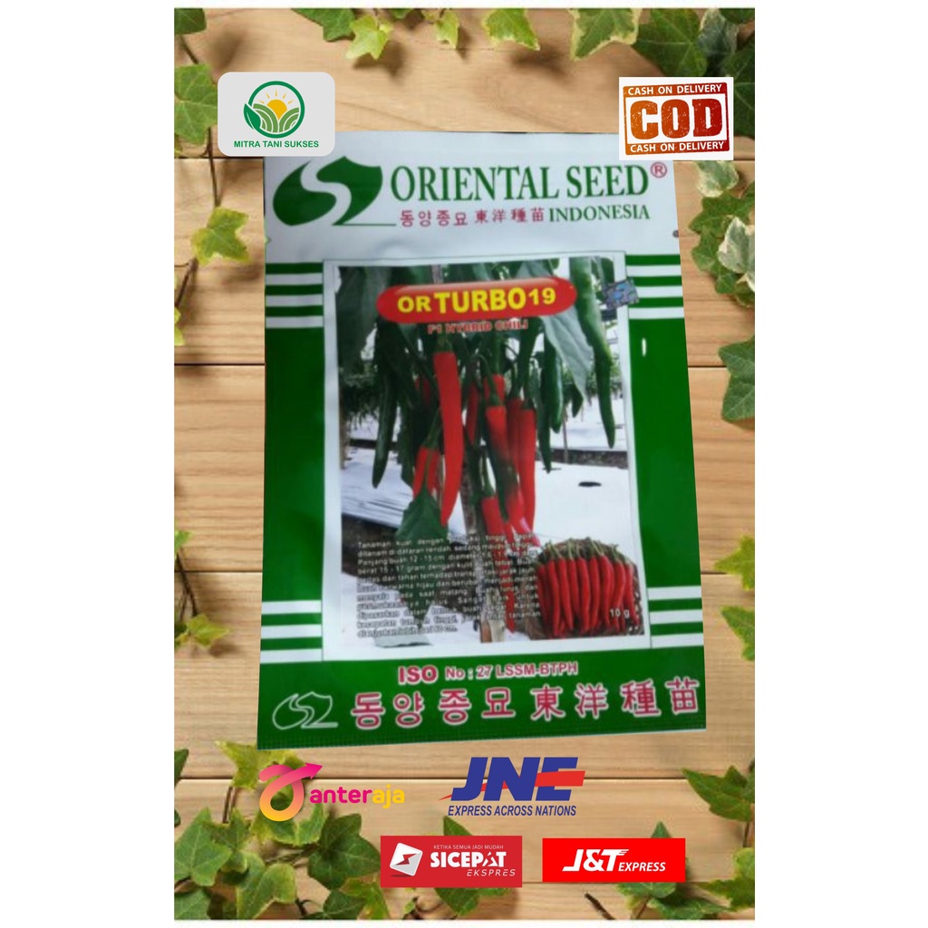 Benih Cabe Besar F1 Hybrid OR TURBO 19 Oriental Seed Isi 10 Gram