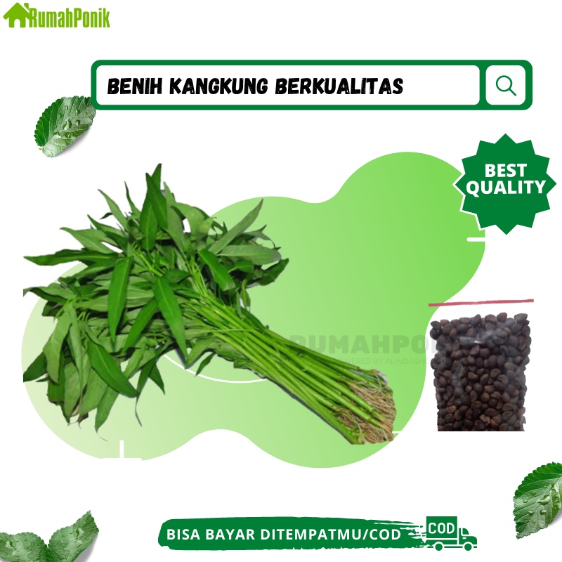 Ratusan Benih Sayuran Kangkung / Benih Kangkung / Bibit Kangkung