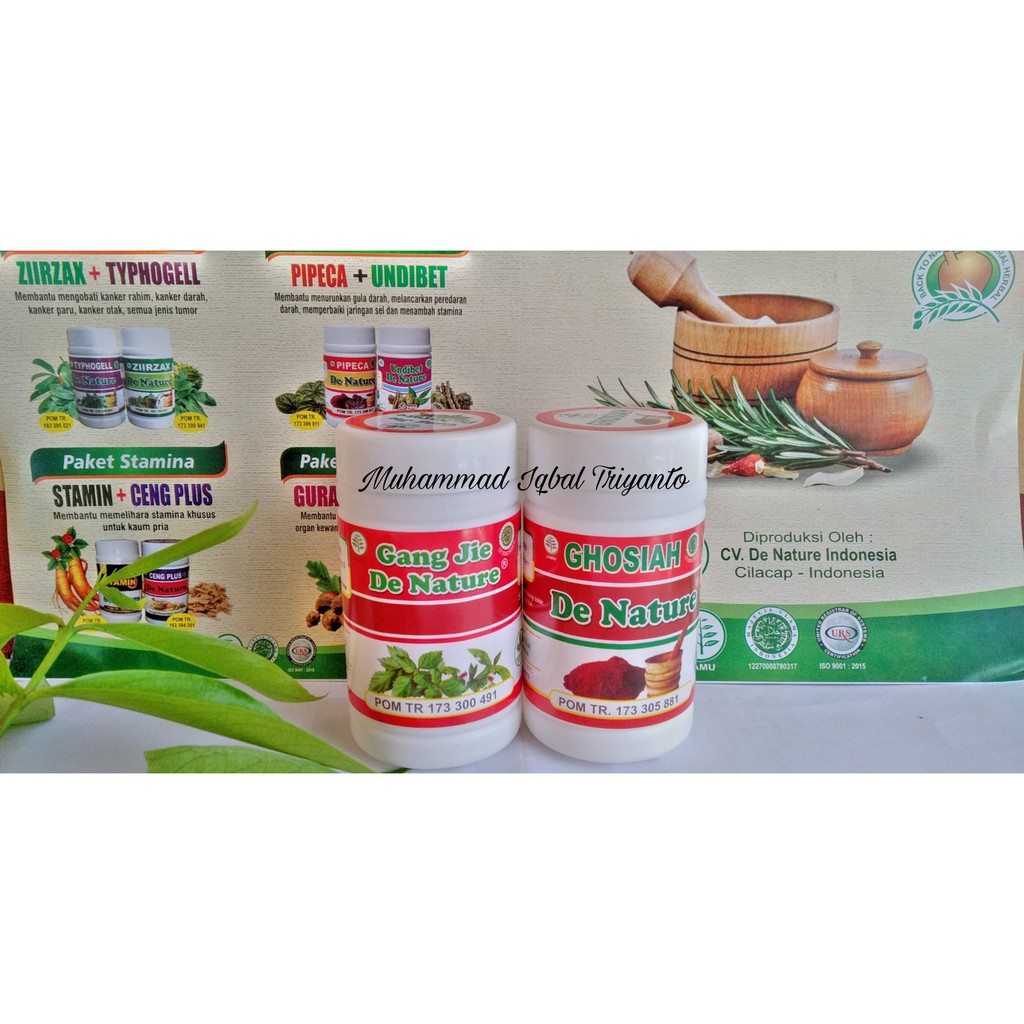 Obat Sipilis Atau Gonore Herbal
