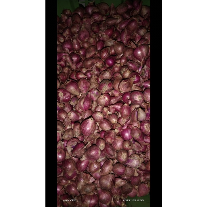 

Bawang merah brebes super 500gr