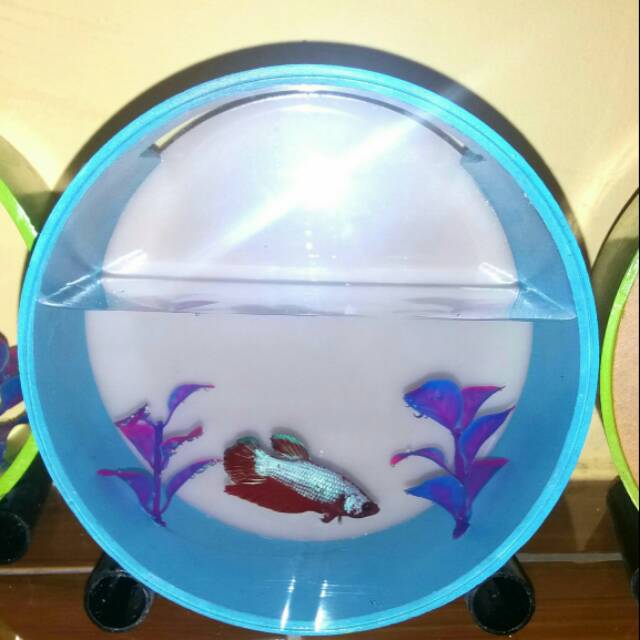 5600 Contoh Gambar Aquarium Bulat Terbaru