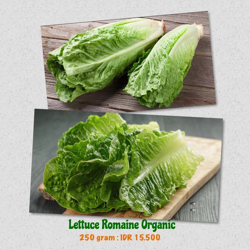 

Lettuce Romaine Organic