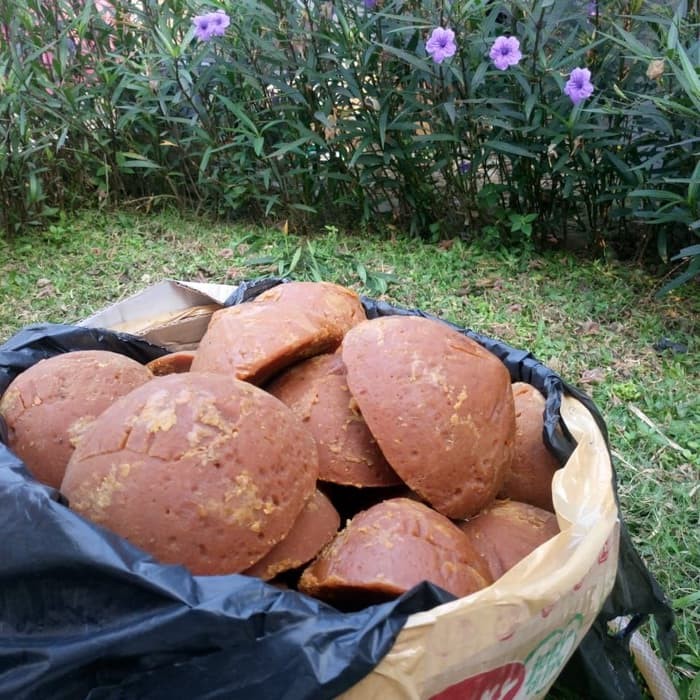 

GULA MERAH ASLI PURWOREJO