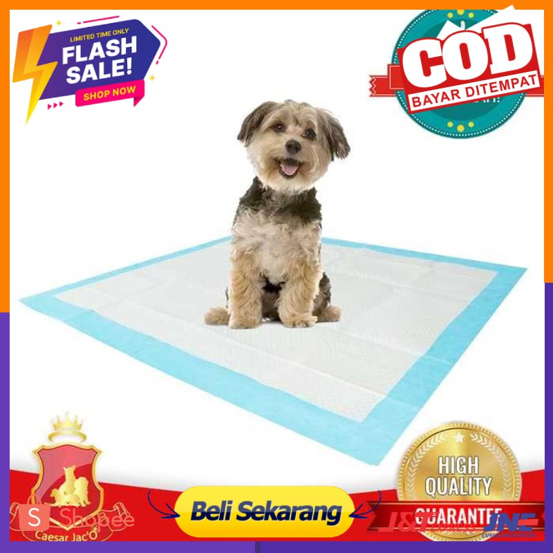 Dog Cat Underpad / Alas Perlak Poop dan Pee Hewan Anjing Kucing 45x60