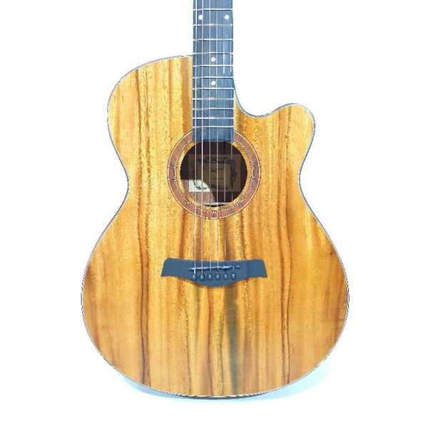 Gitar Akustik Camwood Original Tipe IWC-235 NSK Senar String Trusrkd Jakarta Murah