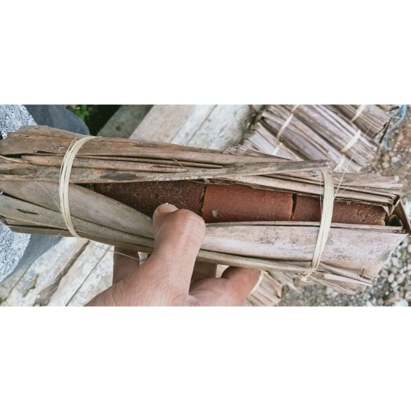 

Gula Kaung Cidadap Sagaranten (Asli Sukabumi)