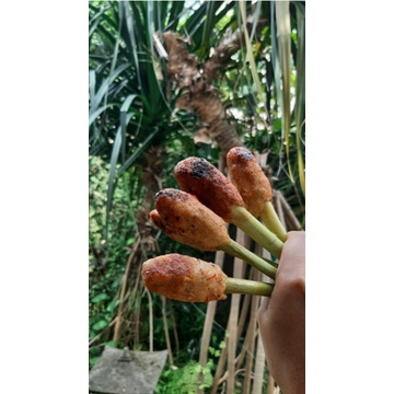 

Sate Lilit (10 tusuk)