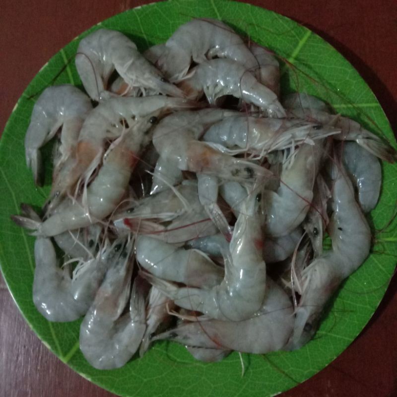 

Udang segar 250 gram sayur bandung