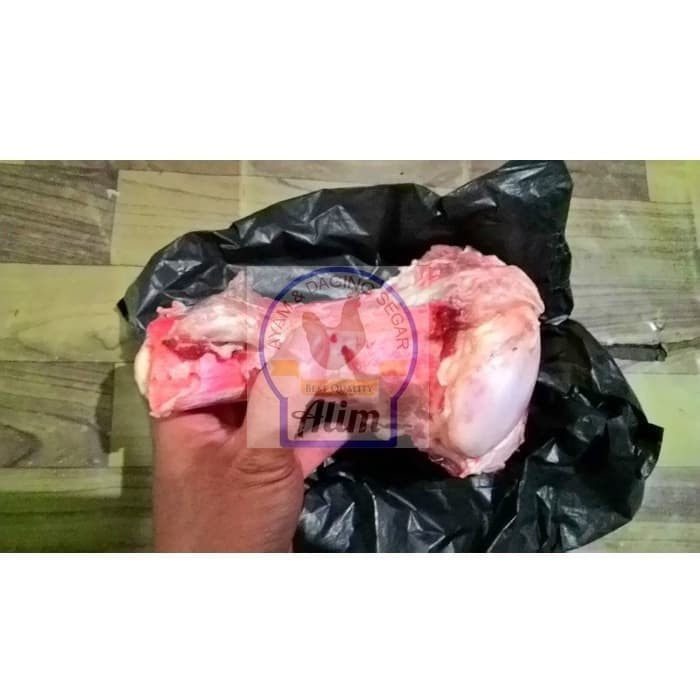 

TULANG SUMSUM SAPI - FRESH BEEF BONE