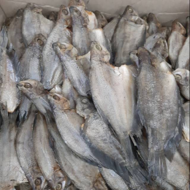 

Ikan Asin Sepat Besar 100 gr