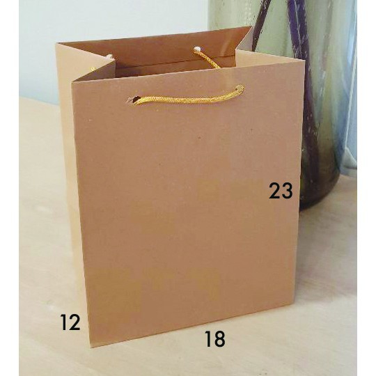

paperbag polos ukuran 18x23 goodiebag kertas samson kraft