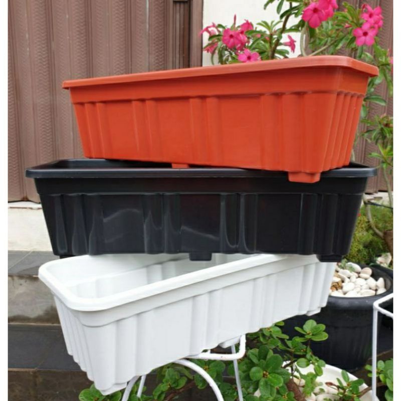 pot tanaman hias Lee Kwan yew WARNA HITAN  panjang 50cm pot untuk tanaman menjuntai Lee Kwan yew