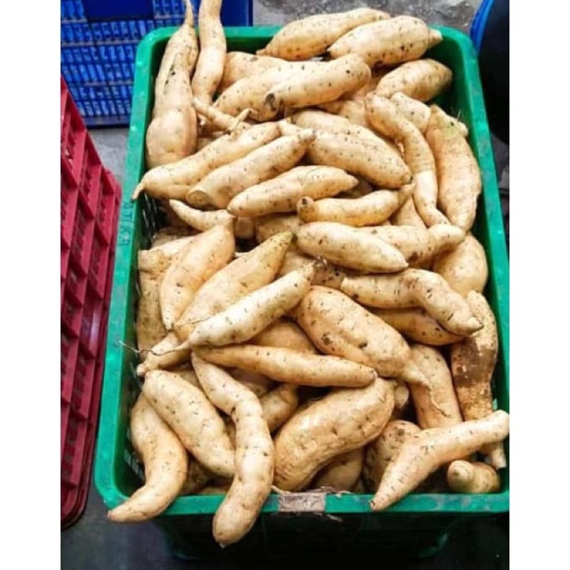

Ubi Cilembu 1kg