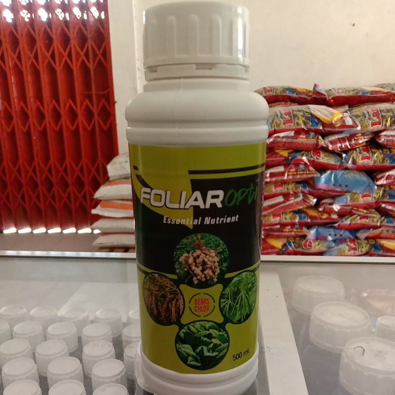 PEMBESAR BUAH DAN PERANGSANG BUNGA FIRM VIGOR DAN FOLIAR OPTI