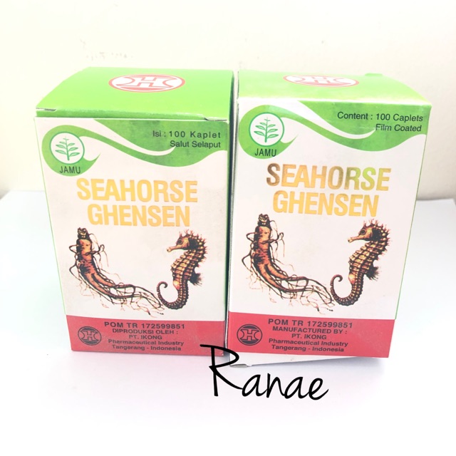 Seahorse/ sea horse ghensen kidney sehat ginjal
