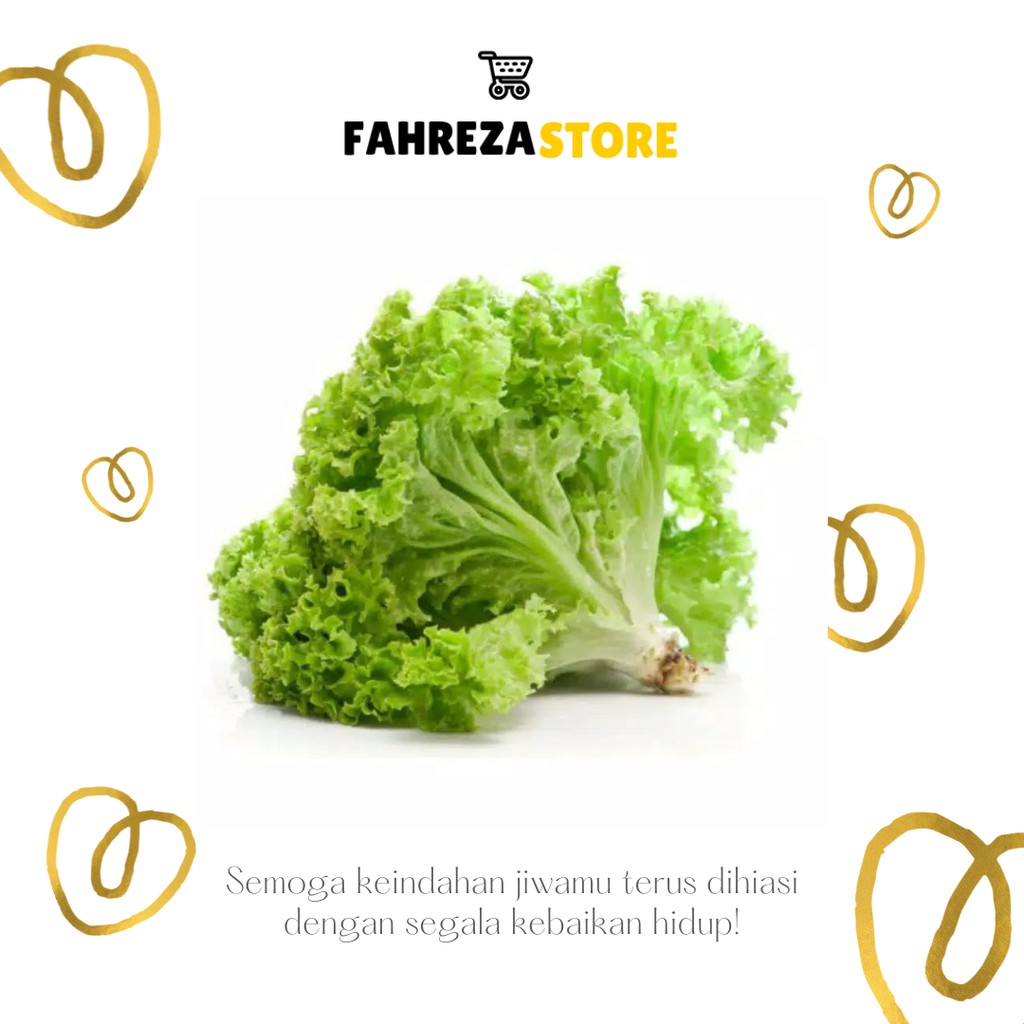 

Seladah lalap fresh 500 gram