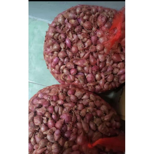 

bumbu rempah rempah