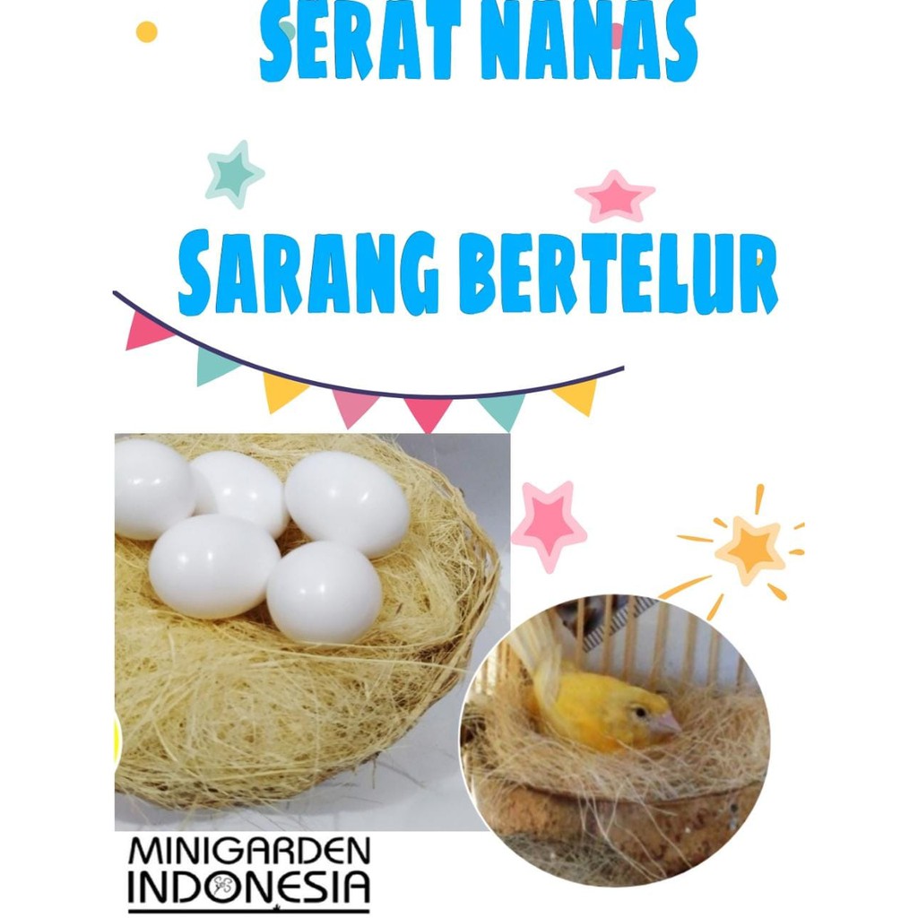 SERAT NANAS sarang burung tempat bertelur rumah piyik lovebird kenari parkit alas glodok hangat