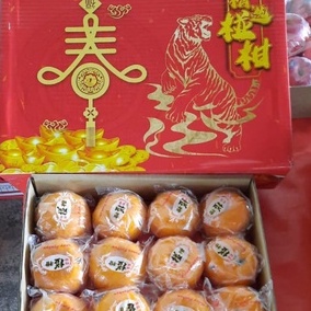 

buah jeruk Ponkam 1 BOX