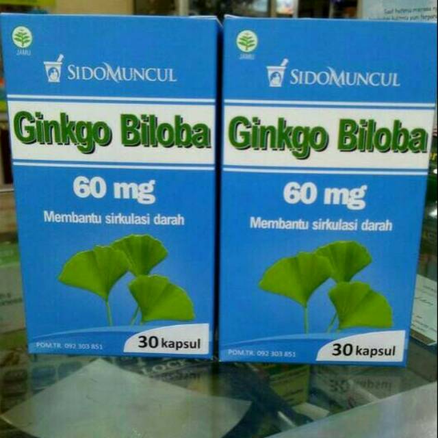 Sidomuncul Ginkgo Biloba