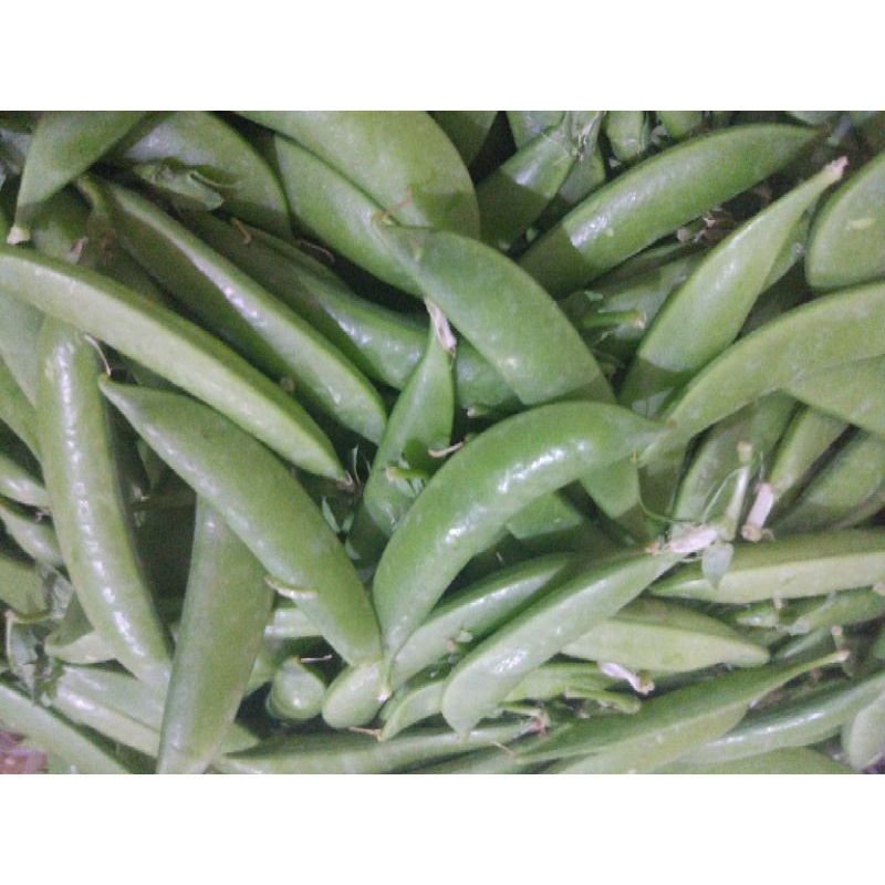 

Kapri Manis 250gr