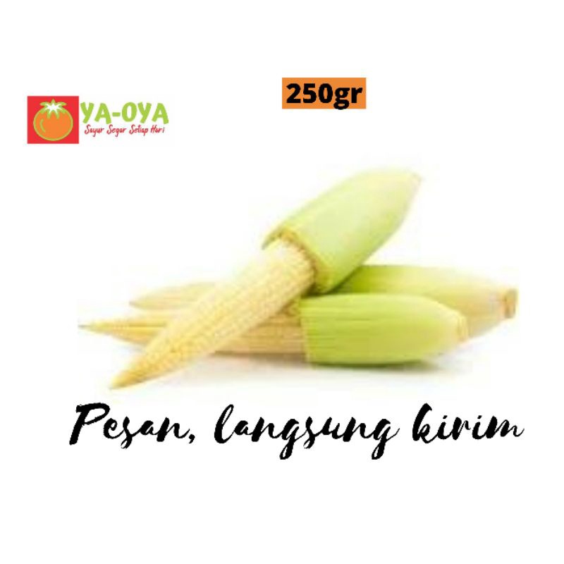 

PUTREN / JAGUNG MUDA 200gr