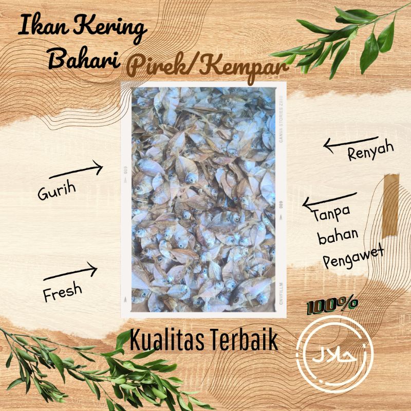 

[TERBARU] IKAN PETEK/KEMPAR TAWAR (TIDAK ASIN) GURIH ENAK