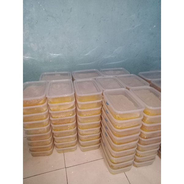 Kardus Packing 500 gram