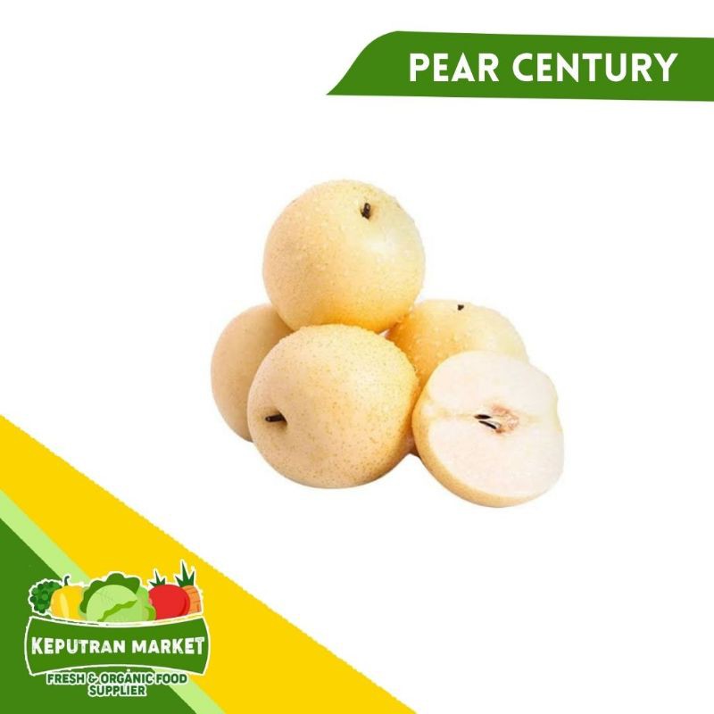 

[SAYUR EMAK] PALING LARIS BOSS KU !!! BUAH PIR / PEAR CENTURY 1KG / BUAH SEGAR HEMAT