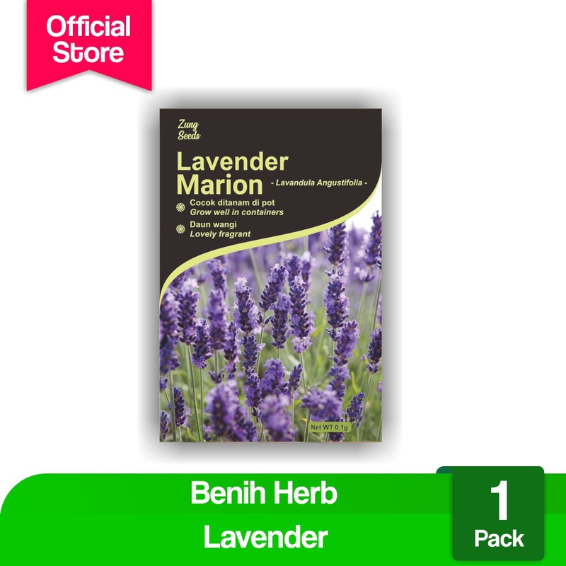 

Benih Bibit Bunga Lavender English Potme Farm