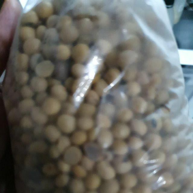 Kacang Kedelai Soya Bean Fresh Segar Kiloan Kemasan 500 gram