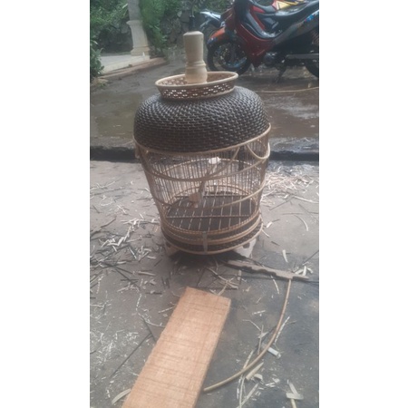 sangkar burung kutut sangkar burung