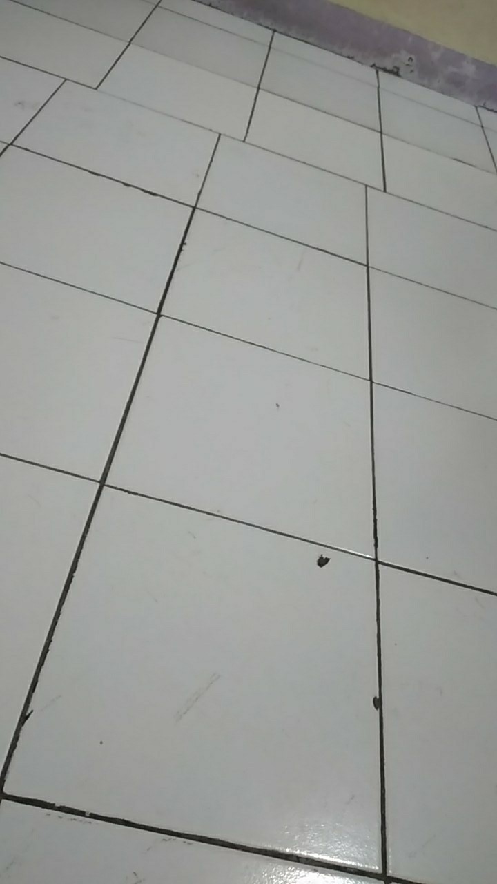 Grosir Grendel Pintu / Jendela / Kos An 2 Ocp