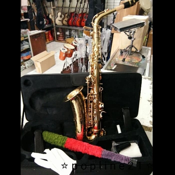 Saxophone ALTO Paladin