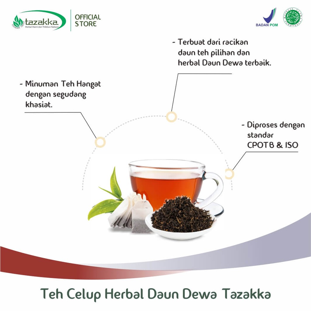 TEH Celup DAUN DEWA Obat Stroke Herbal Tazakka 20 Kantung Teh Celup Herbal Original