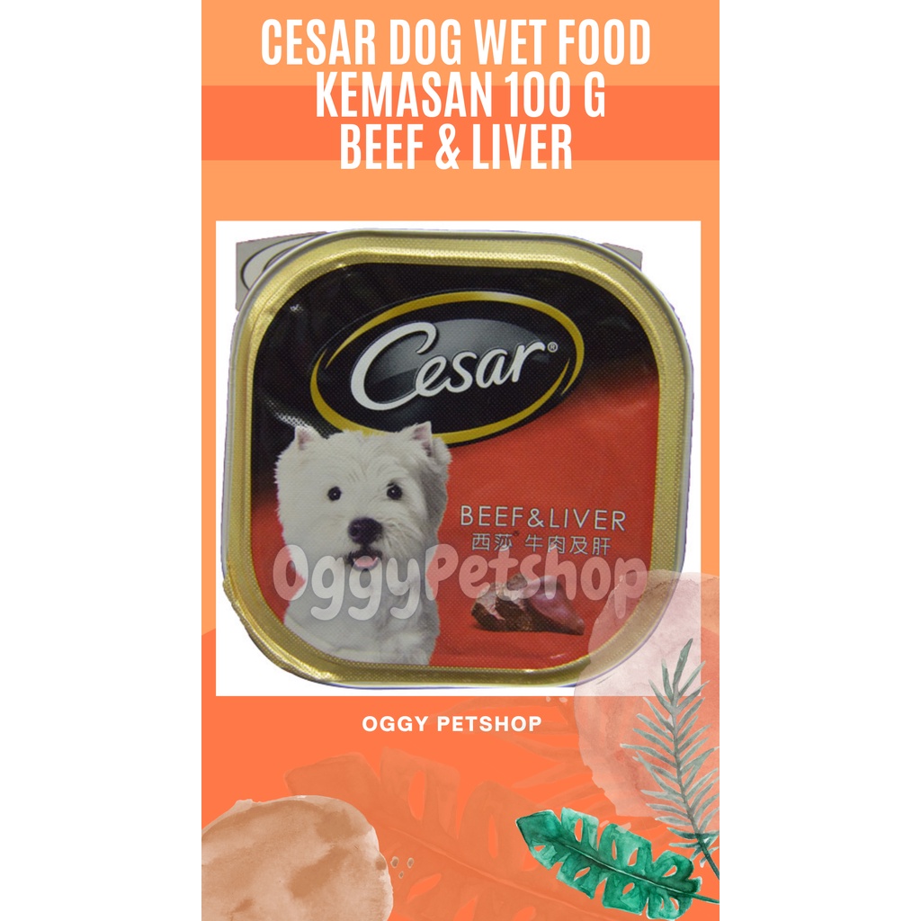 Cesar Wet Dog Food Kemasan Kaleng 100gr - Makanan Anjing Basah