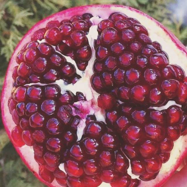 

Delima merah import hrg perbiji..