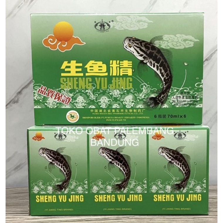 SARI IKAN GABUS KUTUK ISI 6 BOTOL SHENG YU JING