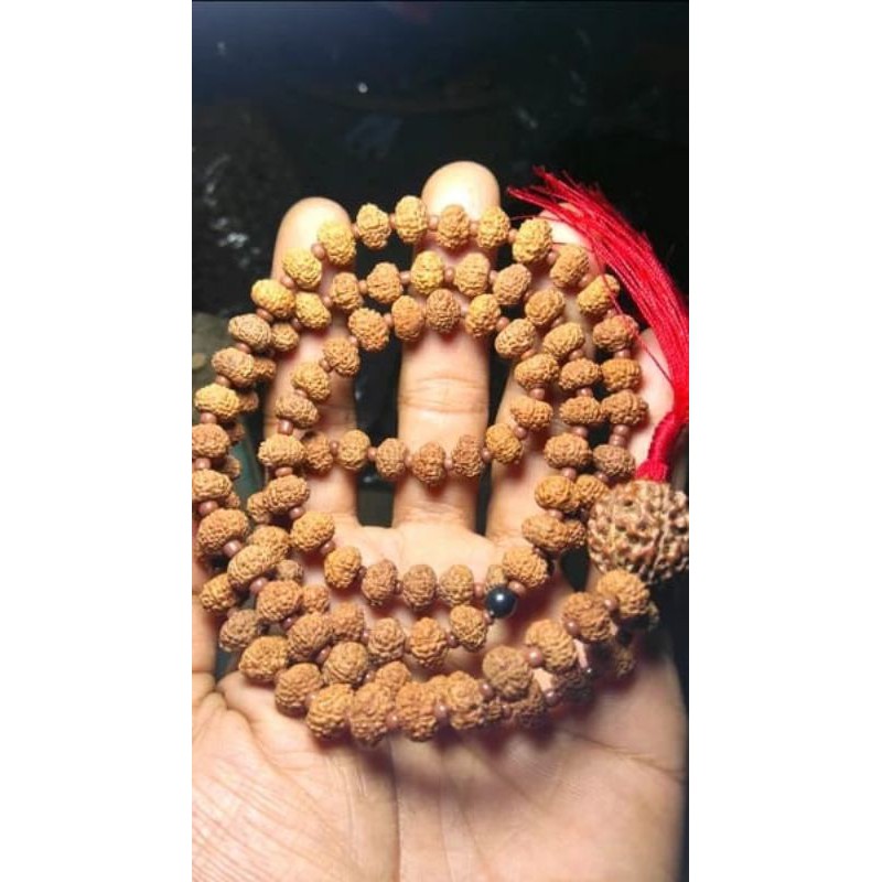 rudraksha jenitri manik hitam
