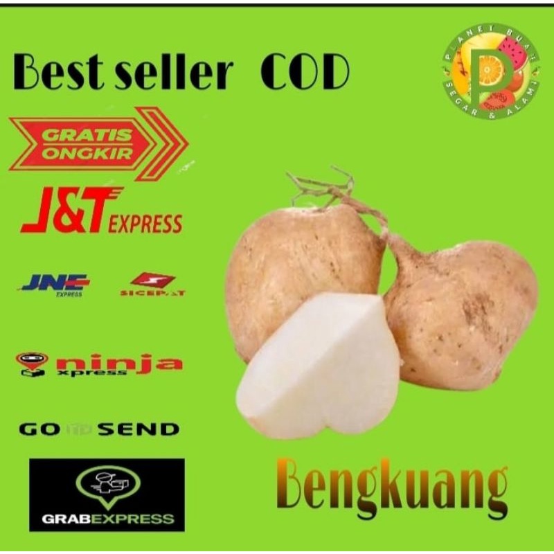

BUAH BENGKUANG PETISAN RUJAKAN BERSIH TANPA TANAH